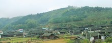IMG_1674 (2)