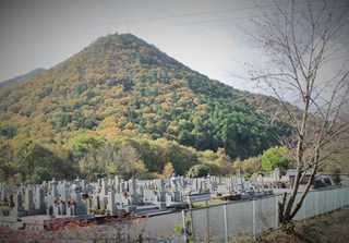 IMG_2015 (2)