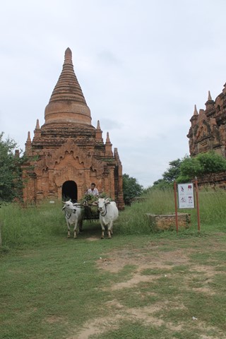 Myanmar 2015