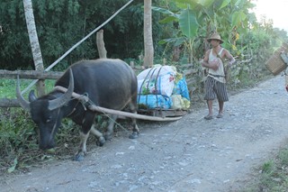 Myanmar 2015